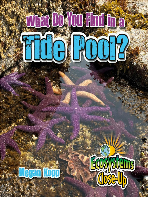 Title details for What Do You Find in a Tide Pool? by Megan Kopp - Wait list